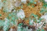 Rosasite, Selenite and Ferroan Dolomite Association - Morocco #104176-1